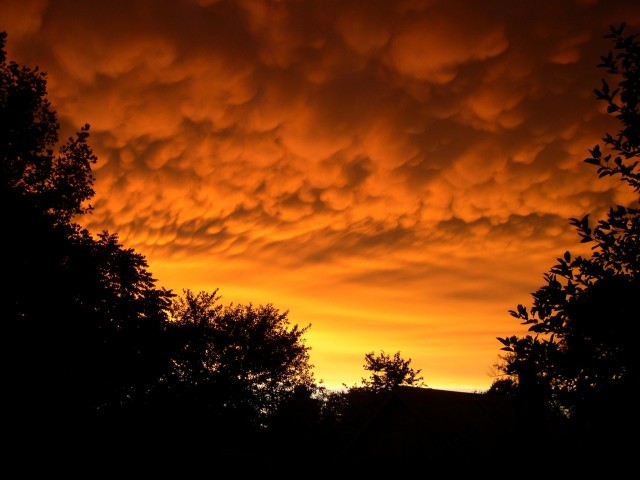 Beautiful sunset on the farm in Shelbyville, IN